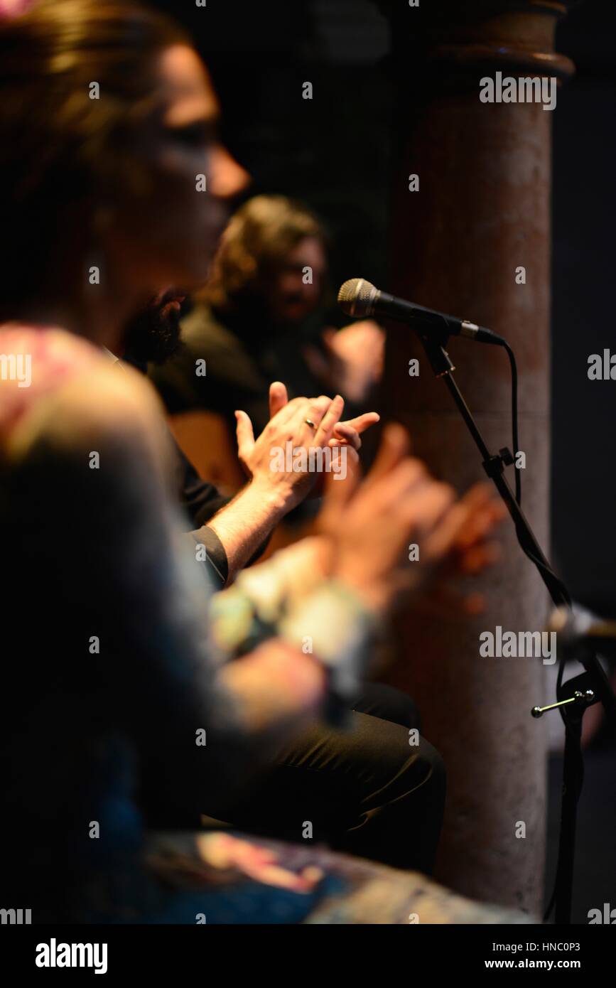 Flamenco show and tablao in Seville, Spain. Museo del Baile Flamenco ...