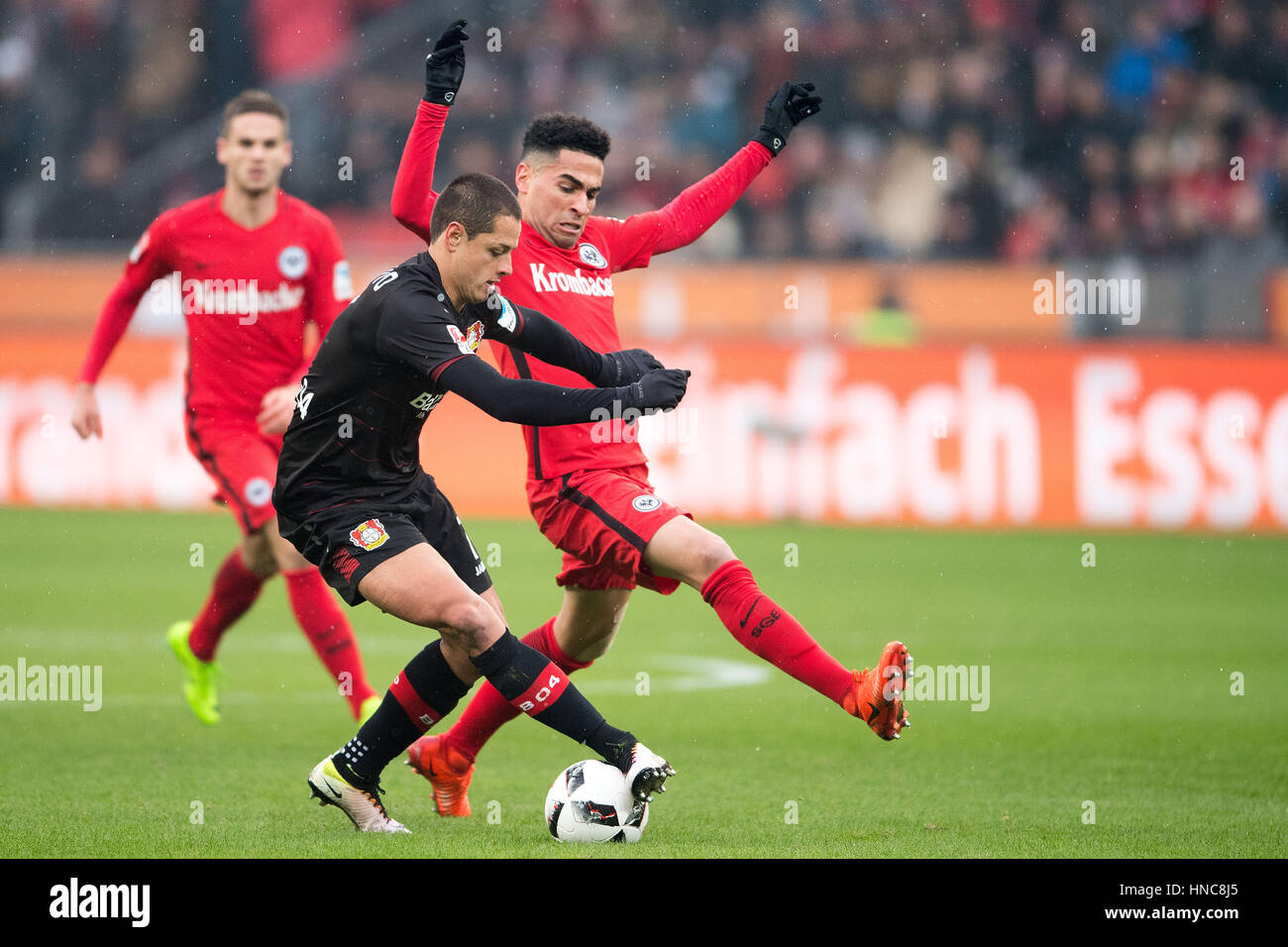 BayArena, Leverkusen, Germany. 11th Feb, 2017. Leverkusen's Javier Hernandez (l) and Frankfurt's Omar Mascarell vie for the ball in the German Bundesliga soccer match between Bayer Leverkusen and Eintracht Frankfurt in the in BayArena, Leverkusen, Germany, 11 February 2017. (EMBARGO CONDITIONS - ATTENTION: Due to the accreditation guidlines, the DFL only permits the publication and utilisation of up to 15 pictures per match on the internet and in online media during the match.) Photo: Marius Becker/dpa/Alamy Live News Stock Photo