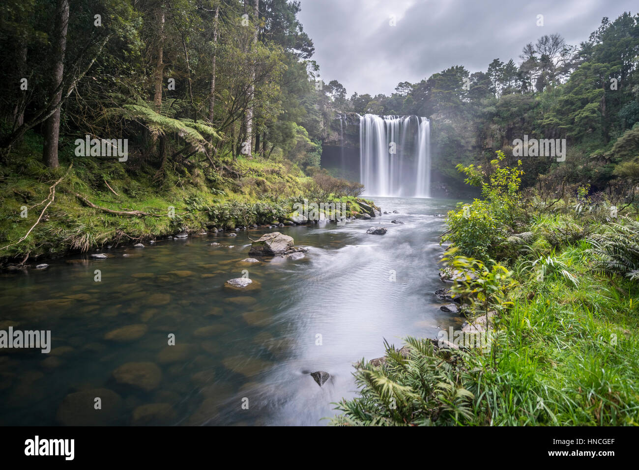 Waterfall Rainbow Falls Or Waianiwaniwa Kerikeri River Northland 