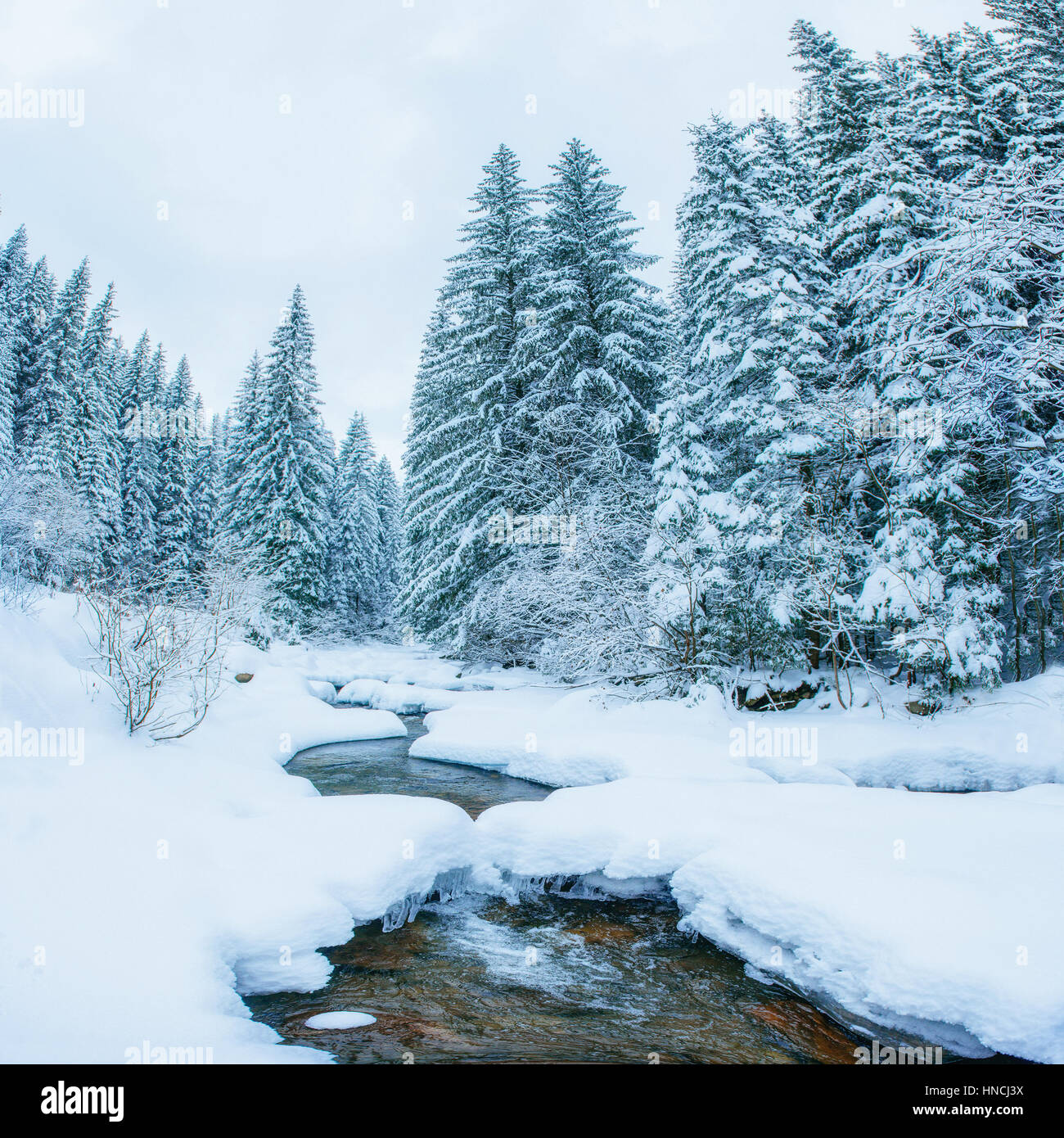 River in the forest in winter Stock Photo - Alamy