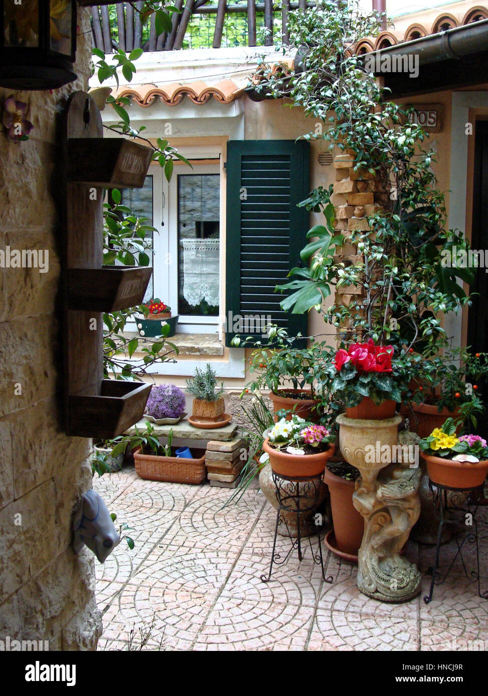 Home various flowers in pots. Design Italian courtyards Stock Photo Alamy