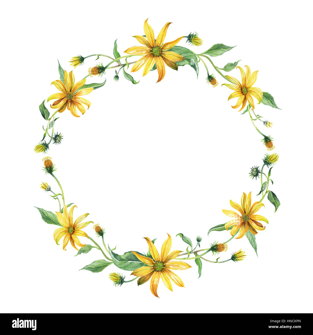 Watercolor wreath. Yellow flower with green leaves Stock Photo - Alamy