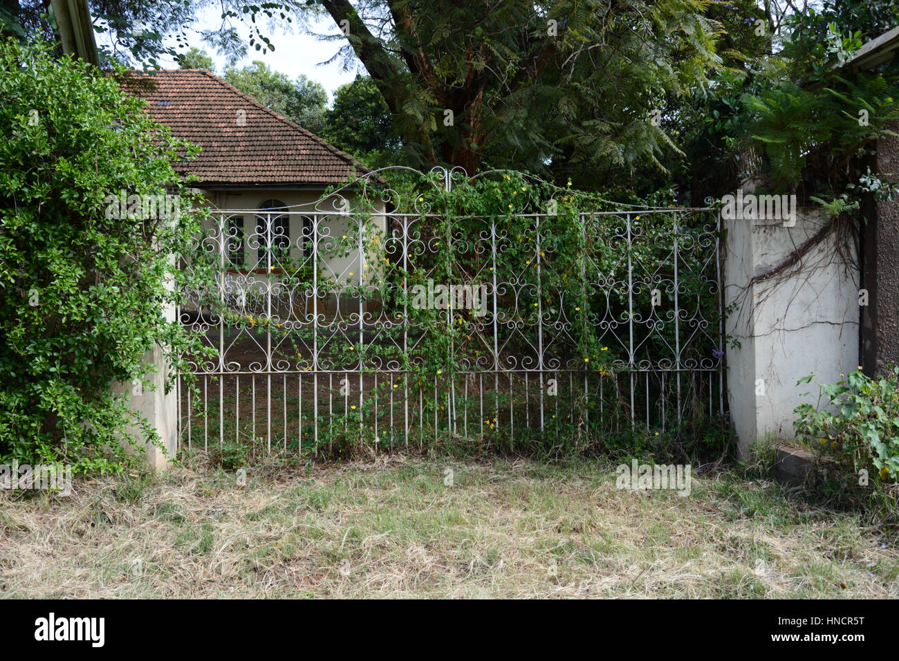 Overgrown gateway, Parklands, Nairobi, Kenya Stock Photo Alamy