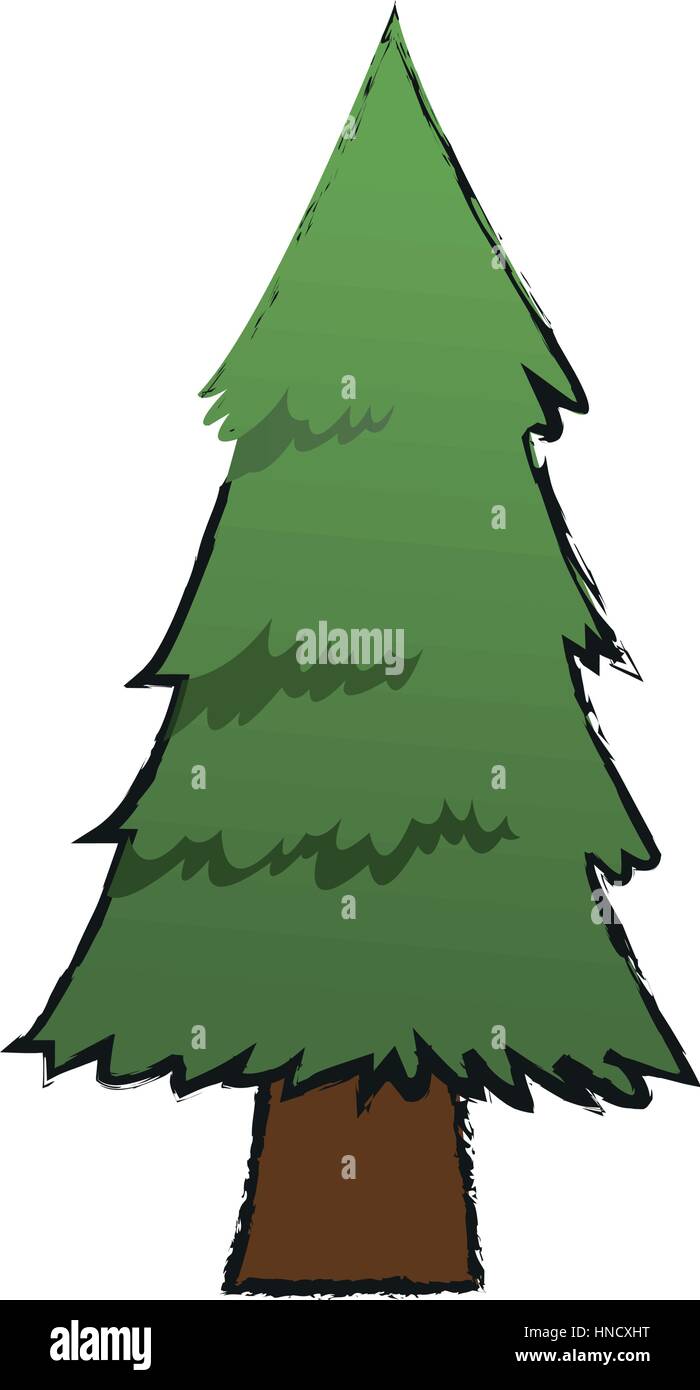 pine tree icon over white background. vector illustration Stock Vector ...