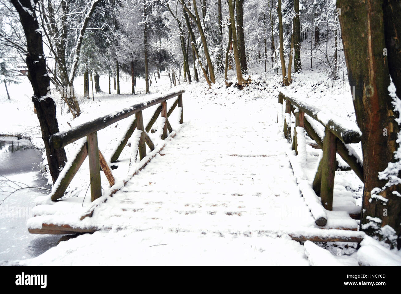 Wooden bridge on a frozen lake in a winter forest. Scenic winter ...