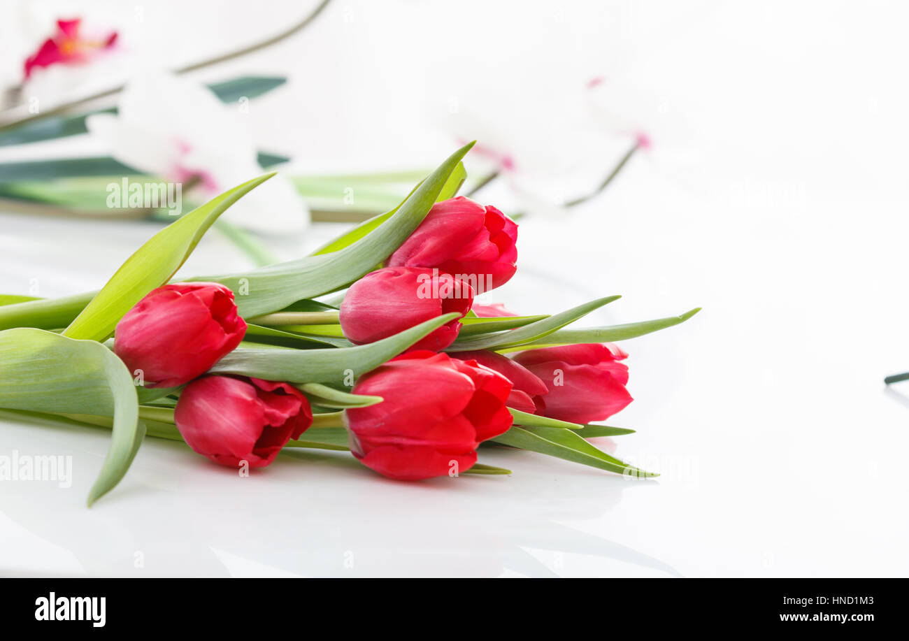 Red tulips bouquet isolated on white background Stock Photo - Alamy
