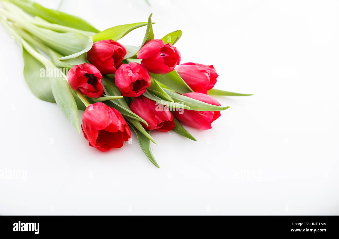 Red tulips bouquet isolated on white background Stock Photo - Alamy