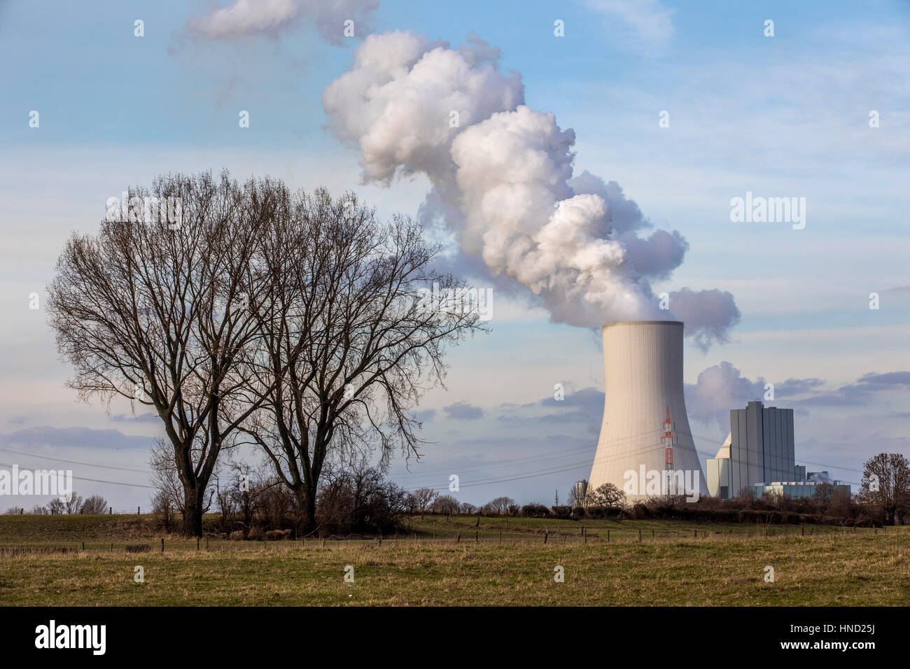 Cooling tower of coal power plant  Duisburg Walsum, Block 10, Germany, Stock Photo