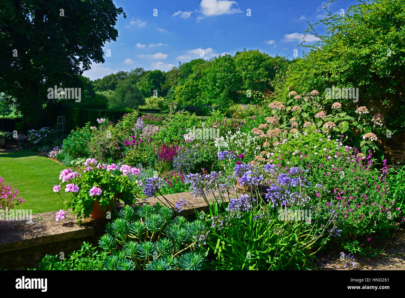 Garden view from terrace to colourful border and open countryside with Agapanthus and Pelargonium Stock Photo
