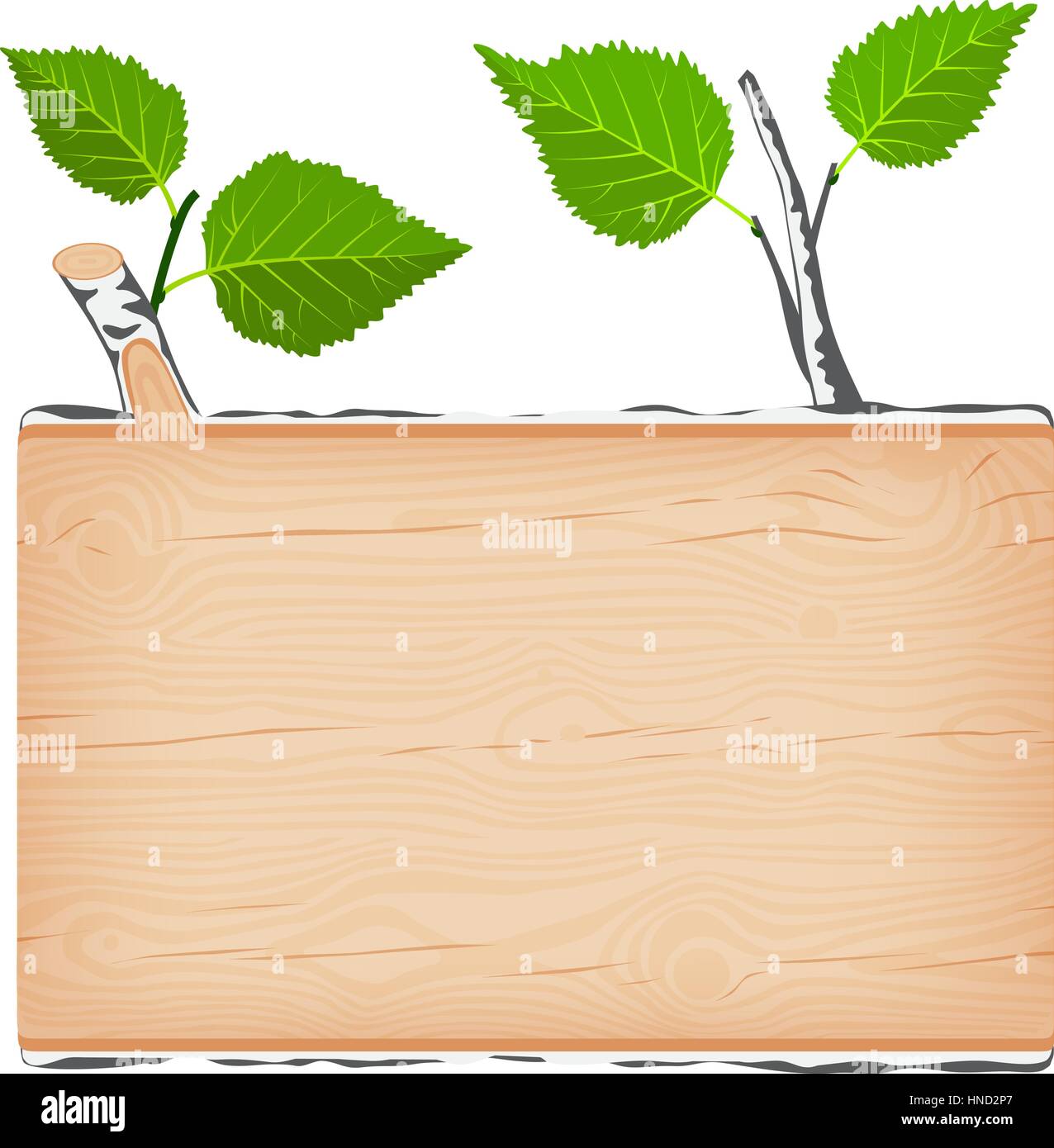 Natural textured birch wooden rectangular signboard with green leaves vector illustration Stock Vector