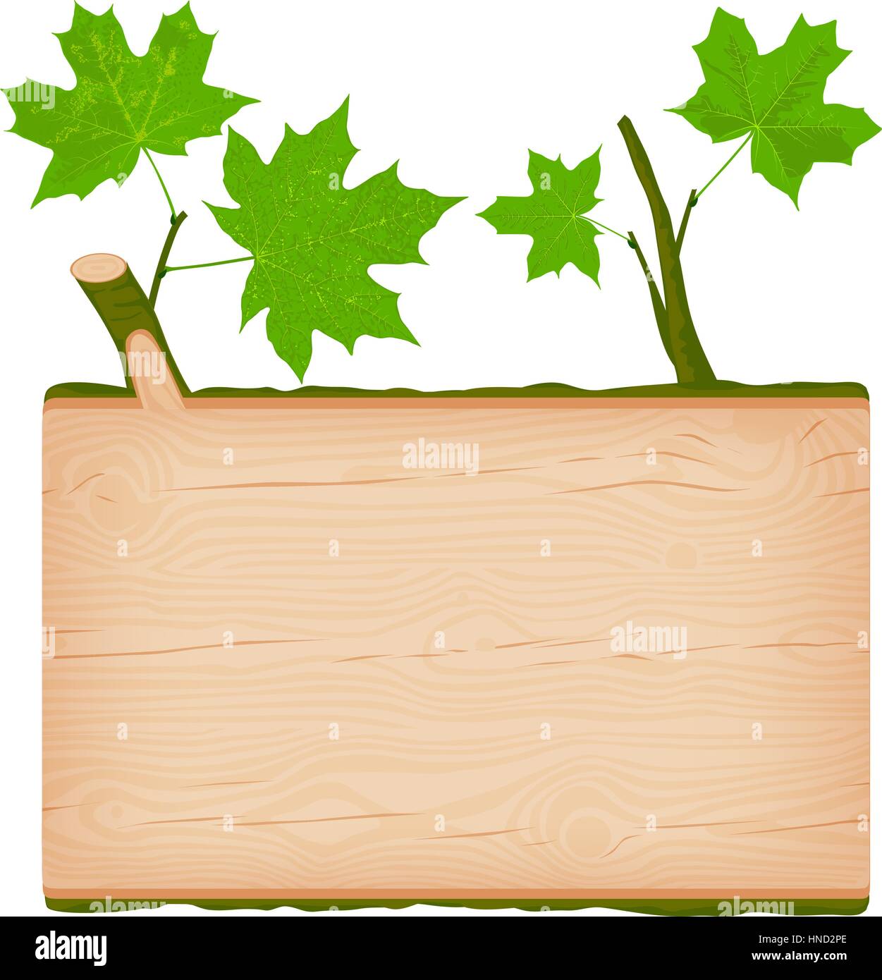 Natural textured maple wooden rectangular signboard with green leaves vector illustration Stock Vector