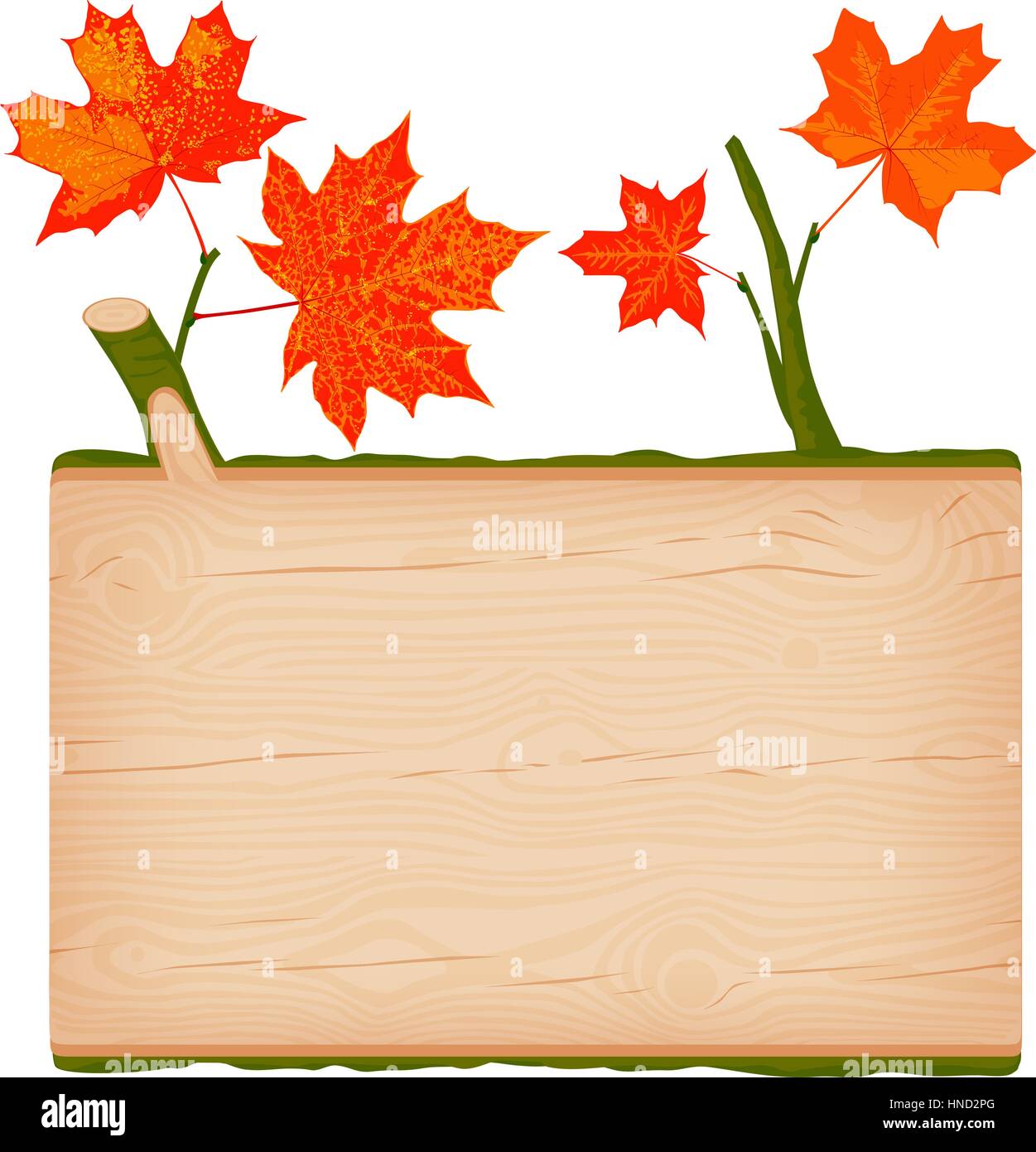 Natural textured maple wooden rectangular signboard with red autumn leaves vector illustration Stock Vector