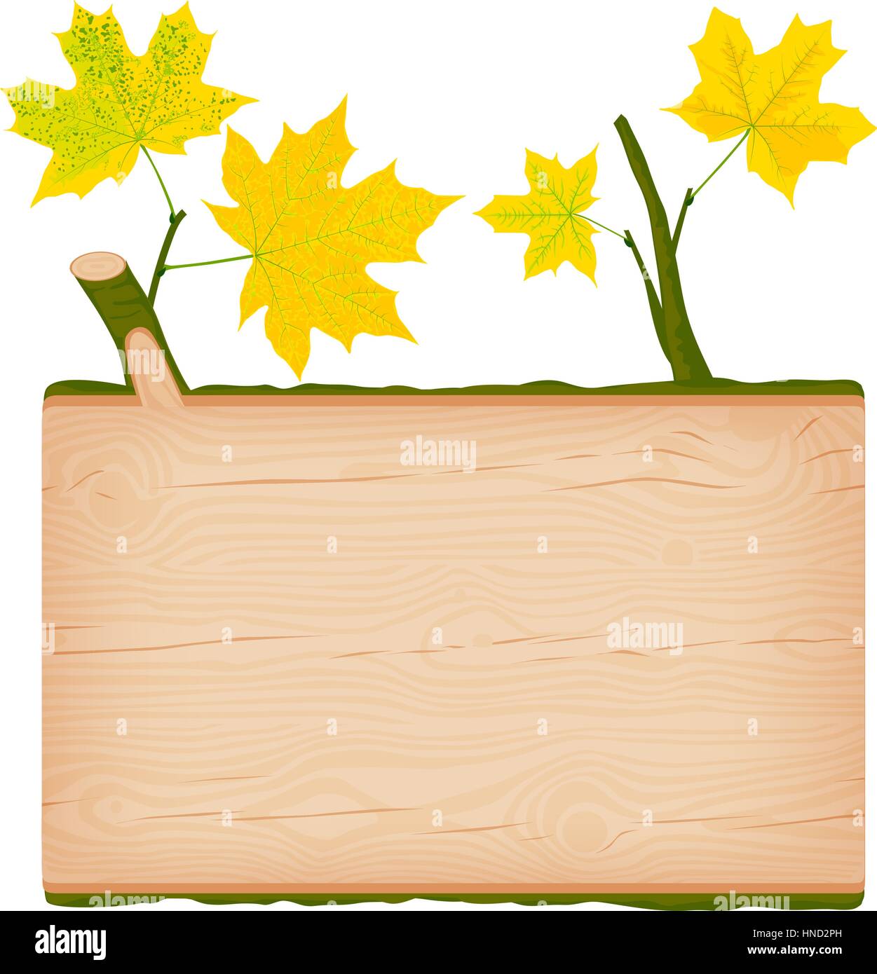 Natural textured maple wooden rectangular signboard with yellow autumn leaves vector illustration Stock Vector