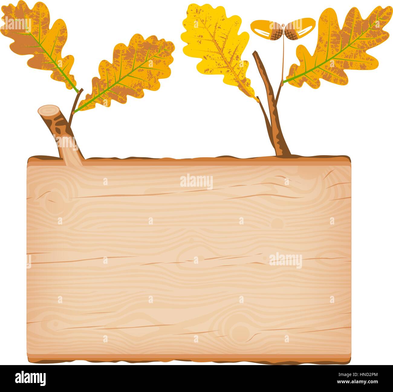 Natural textured oak wooden rectangular signboard with yellow autumn leaves vector illustration Stock Vector
