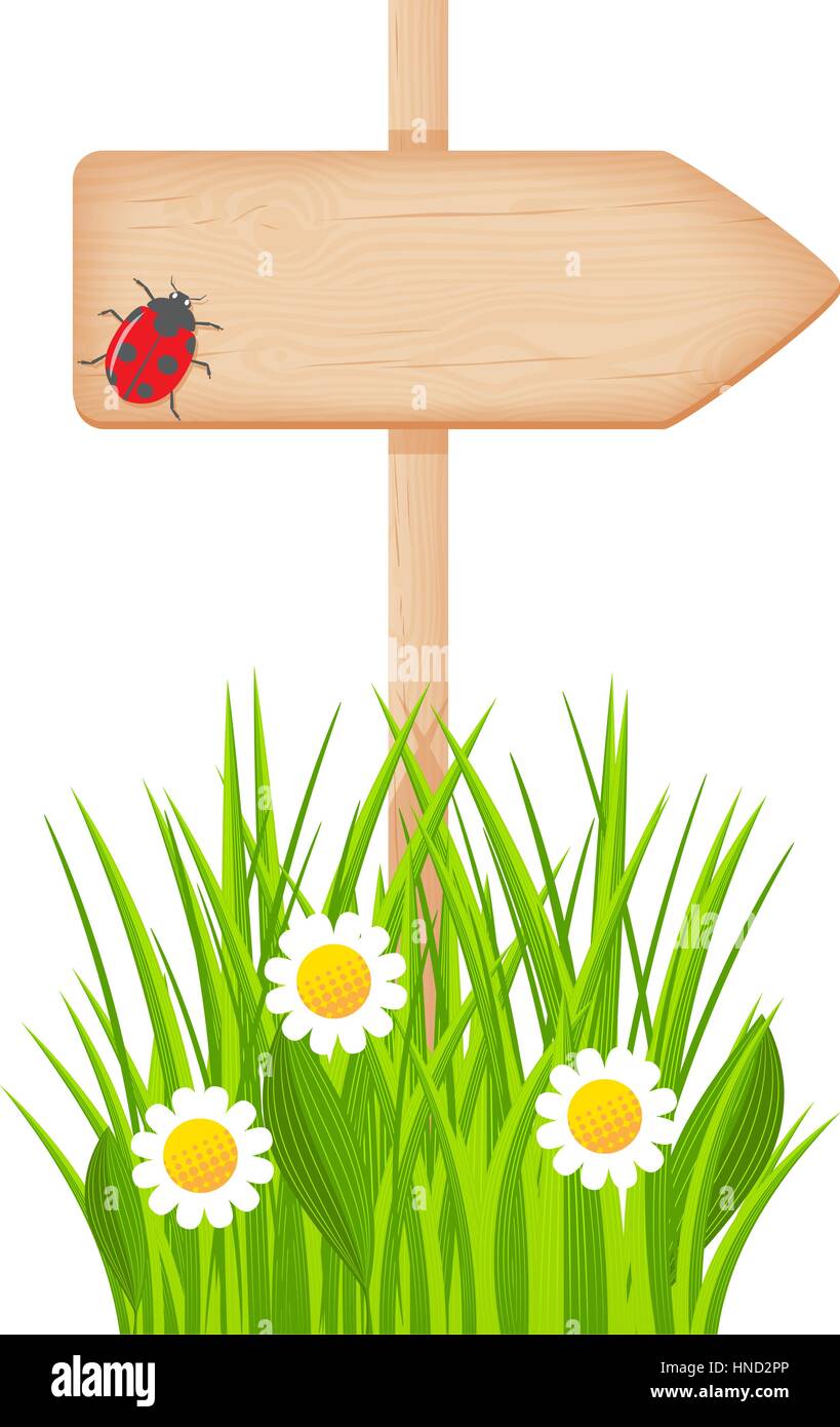 Wooden arrow signboard with knots and cracks on a pole at the grass lawn with flowers and ladybug vector illustration Stock Vector