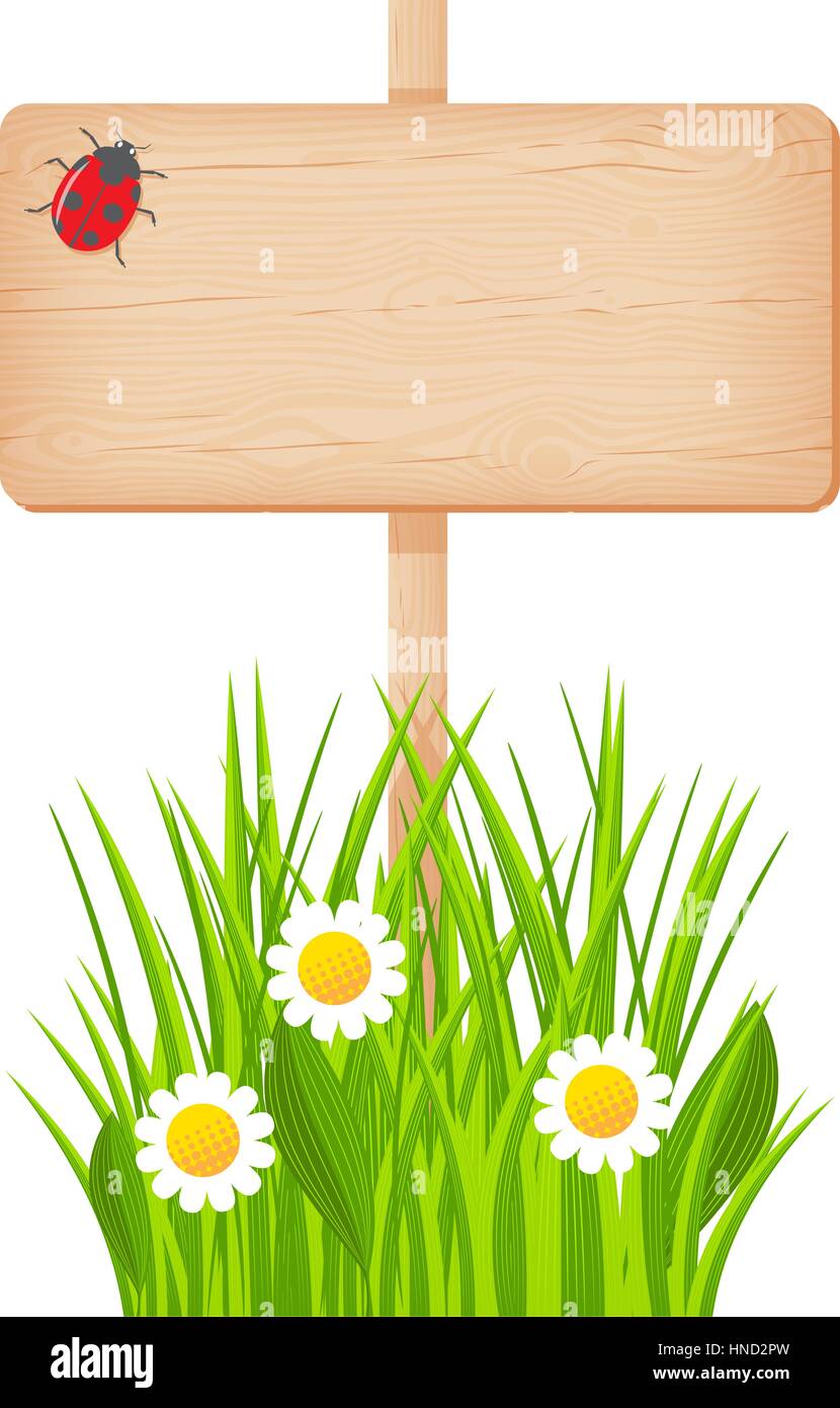 Wooden rectangular signboard with knots and cracks on a pole at the grass lawn with flowers and ladybug vector illustration Stock Vector