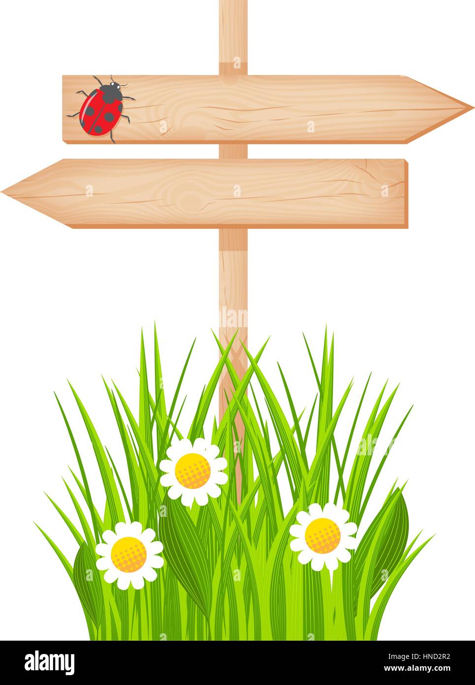 Wooden two arrows signboard with knots and cracks on a pole at the grass lawn with flowers and ladybug vector illustration Stock Vector