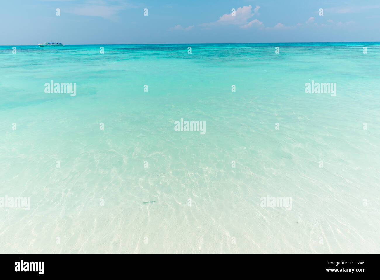 Tropical heat wave hi-res stock photography and images - Alamy