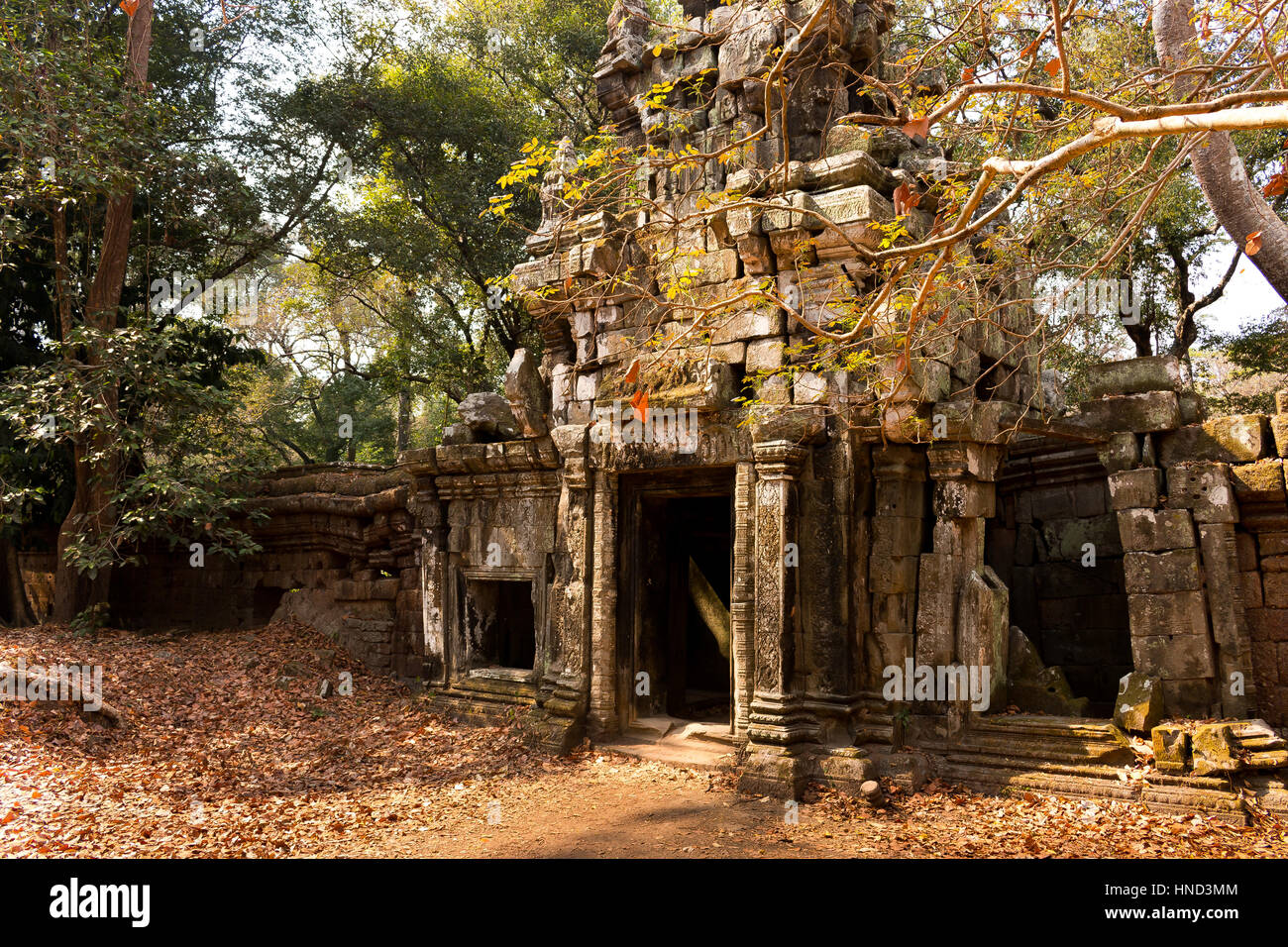 angkor wat tomb raider temple