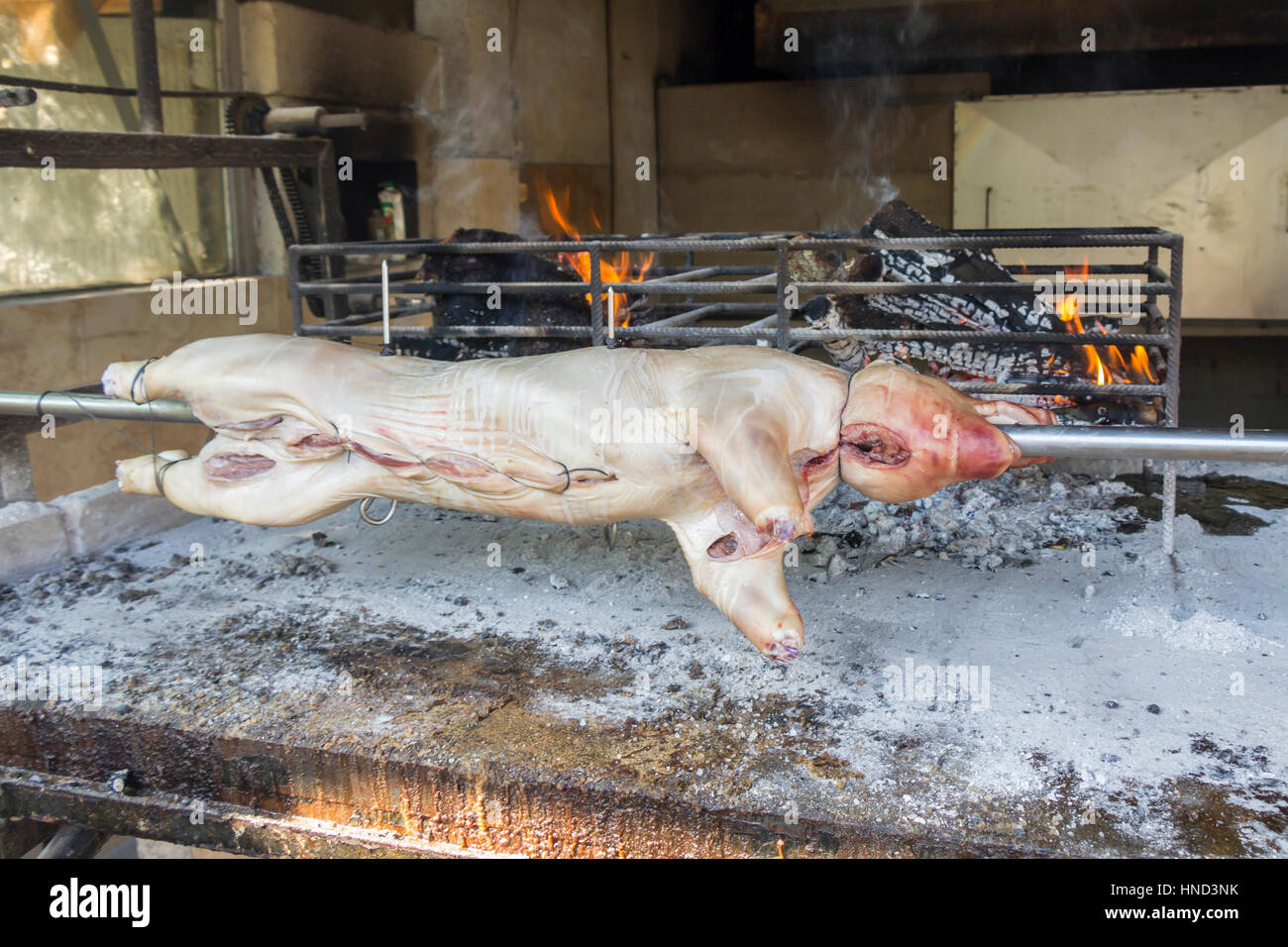 Roasting suckling pig on the broach in the coals Stock Photo