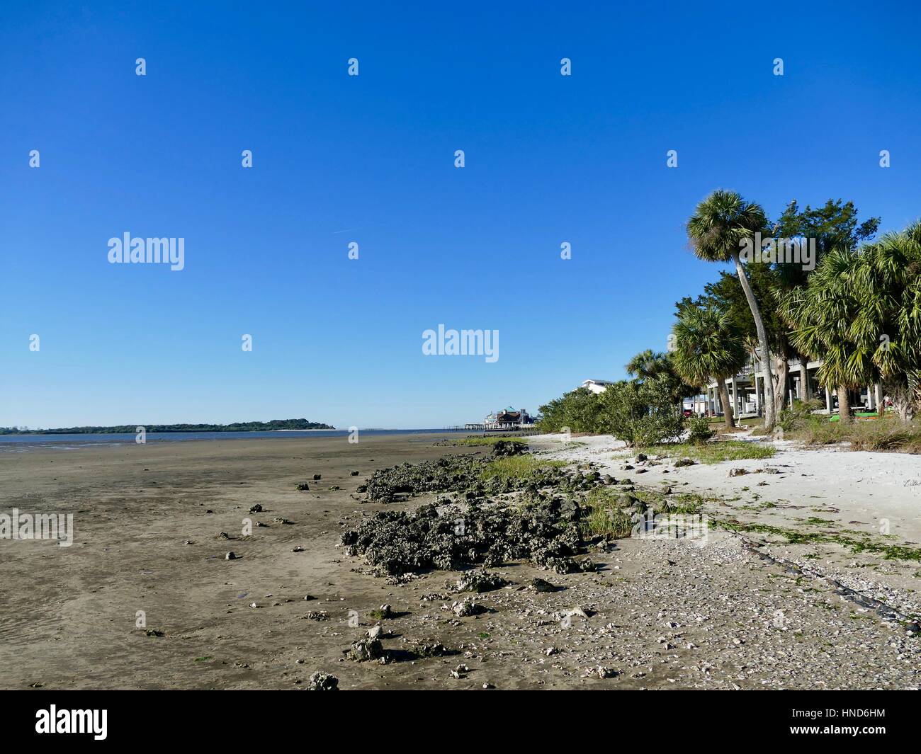 Low Tide at Cedar Key, Florida, USA Stock Photo Alamy