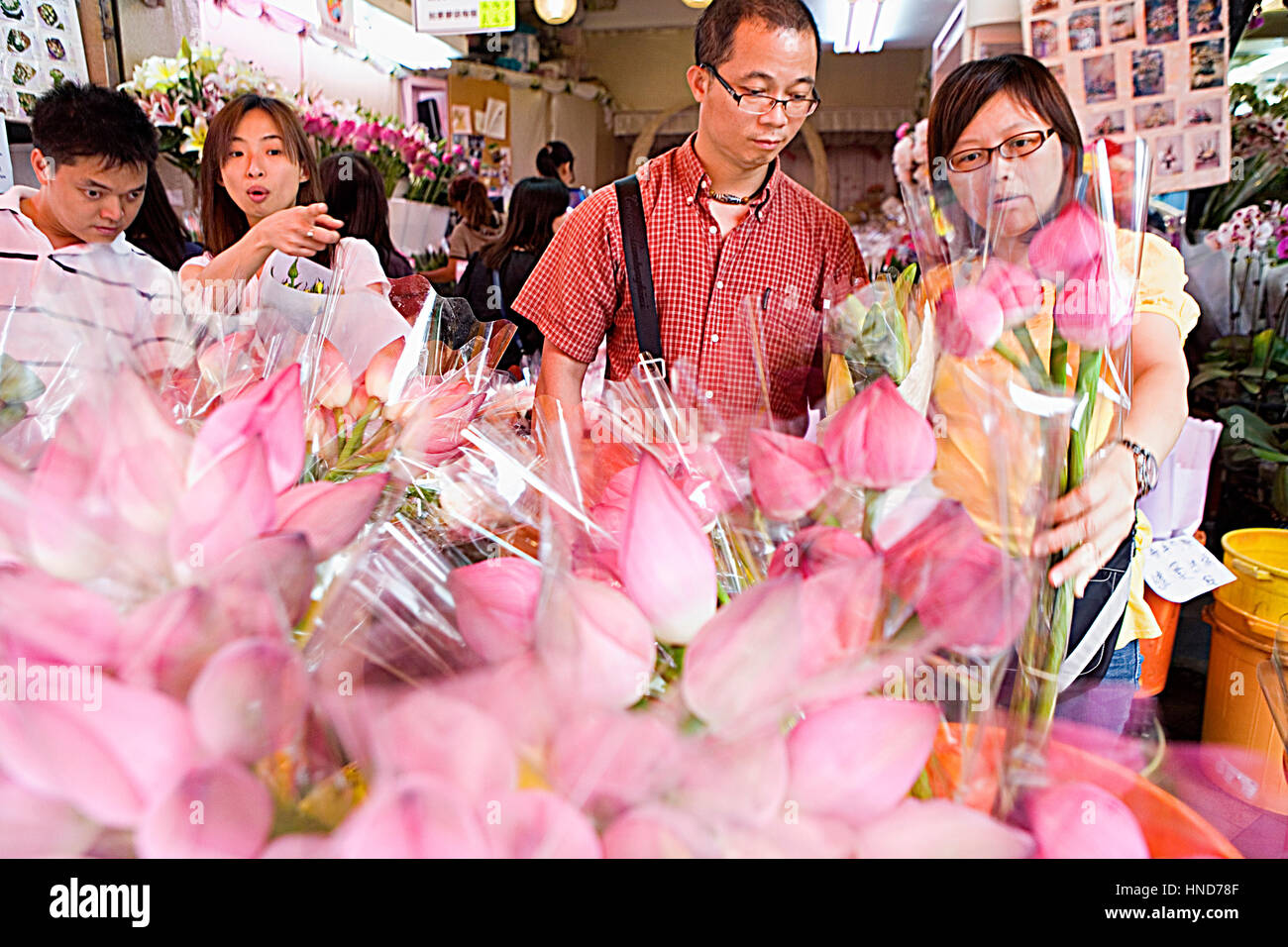 Flowers, Flower Market, at Flower Market Road. Mong Kok .Kowloon,Hong Kong, China Stock Photo