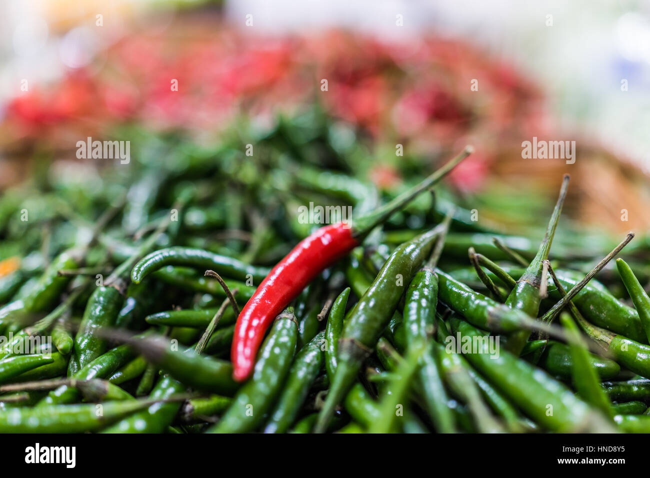 Green thai peppers hi-res stock photography and images - Alamy
