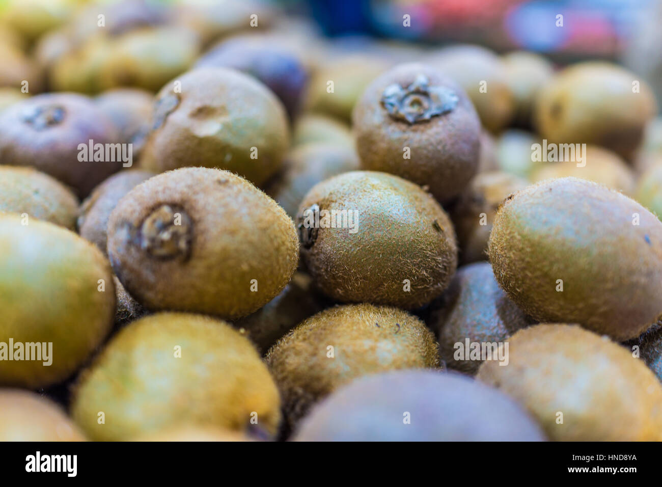 Hairy furry hi-res stock photography and images - Alamy