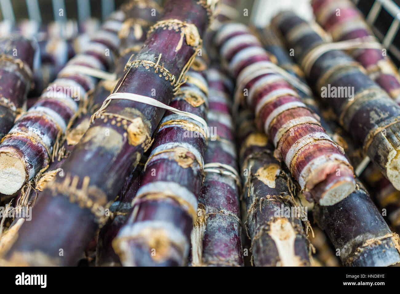 Sugar Canes Stock Photos & Sugar Canes Stock Images Alamy