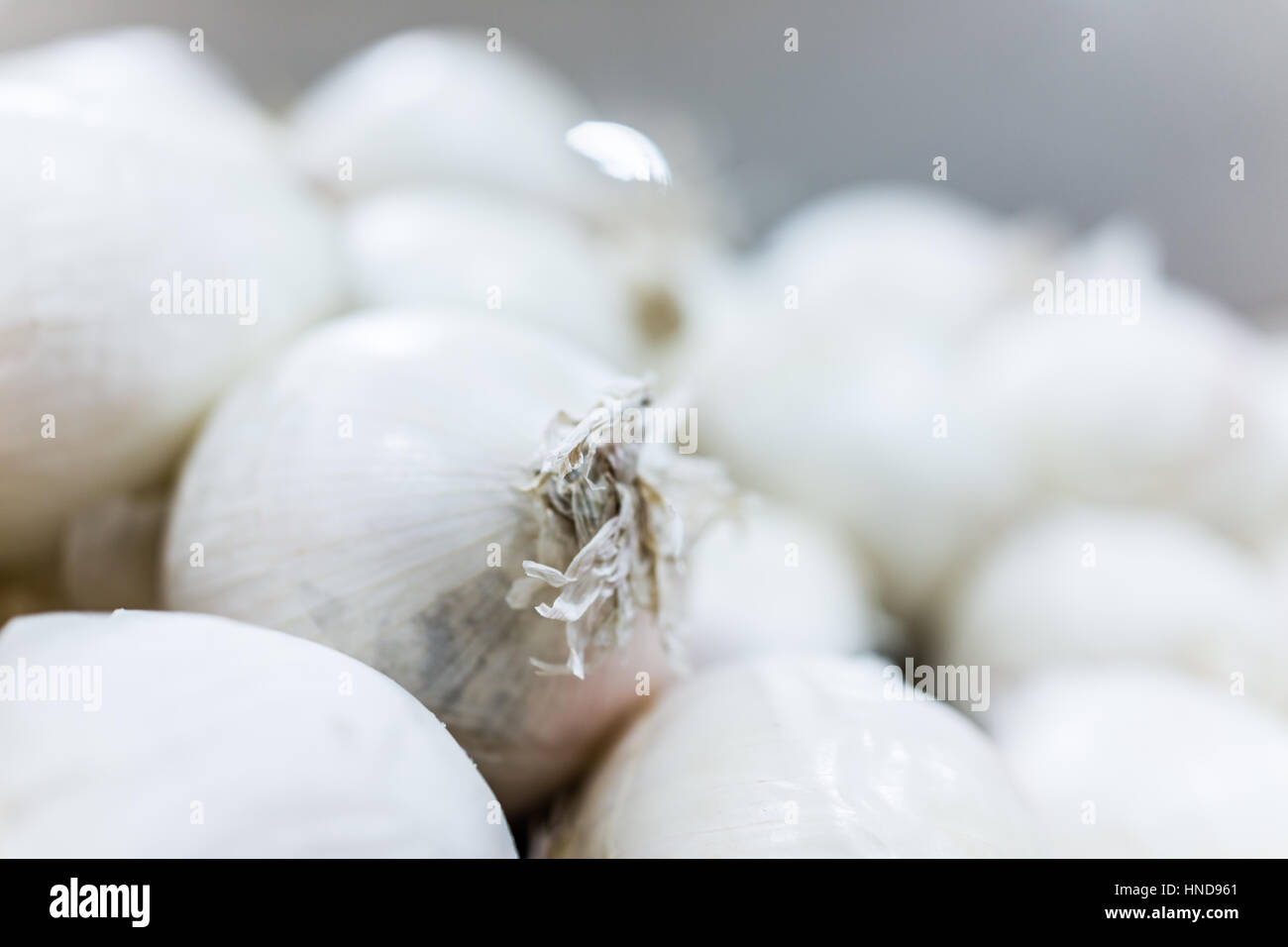 White onions on display hi-res stock photography and images - Alamy