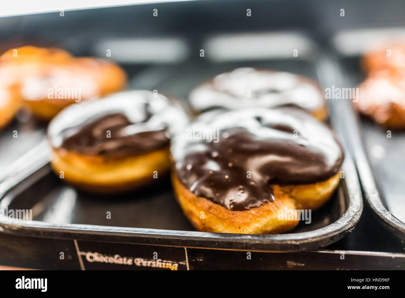 Chocolate pershing icing covered boston cream donut Stock Photo Alamy