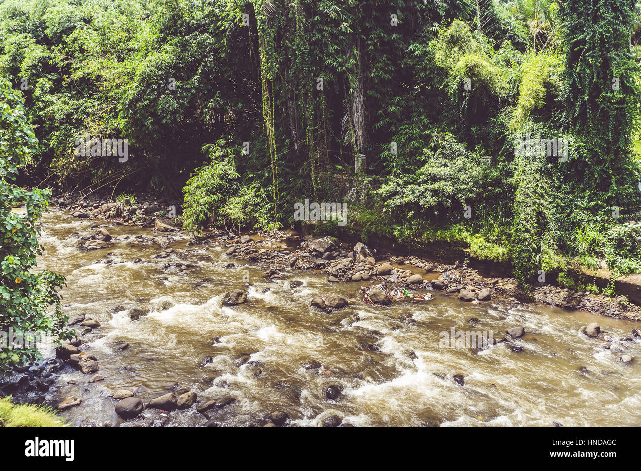 A river with rocks and big stream surrounding by trees and bushes photo ...