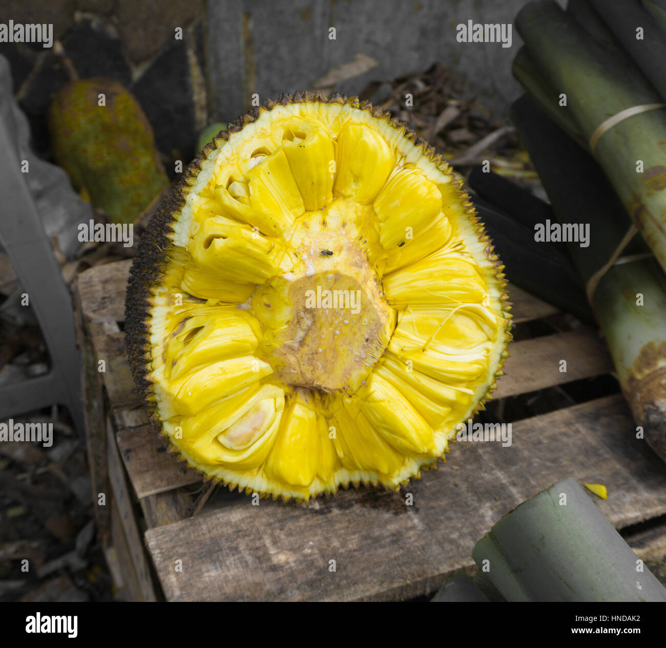 A half sliced of jackfruit with unique and sweet aroma photo taken in 