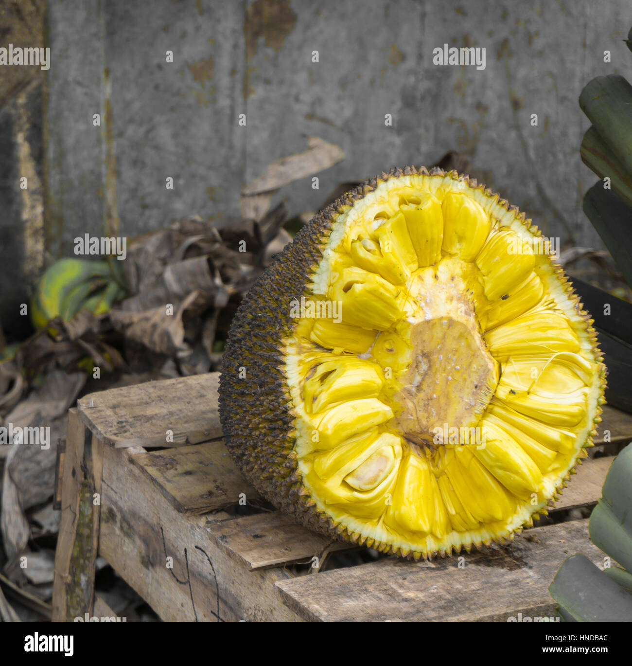 A half sliced of jackfruit with unique and sweet aroma on top of wood 