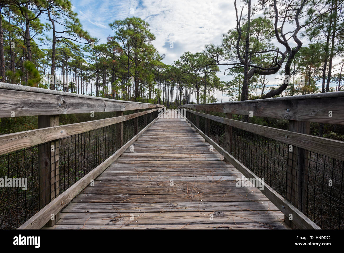 Wooden Walkway Over Marsh on St Island Stock Photo Alamy