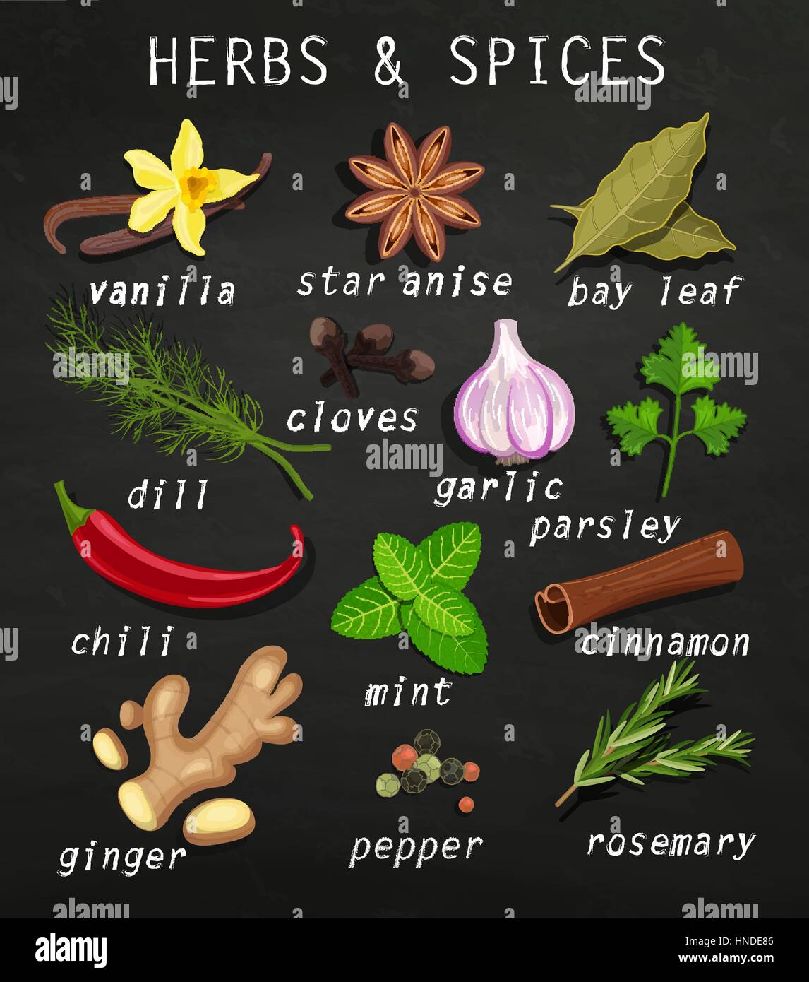 Spice and herb set. Natural healthy food production. Chalkboard background. Vector illustration. Stock Vector