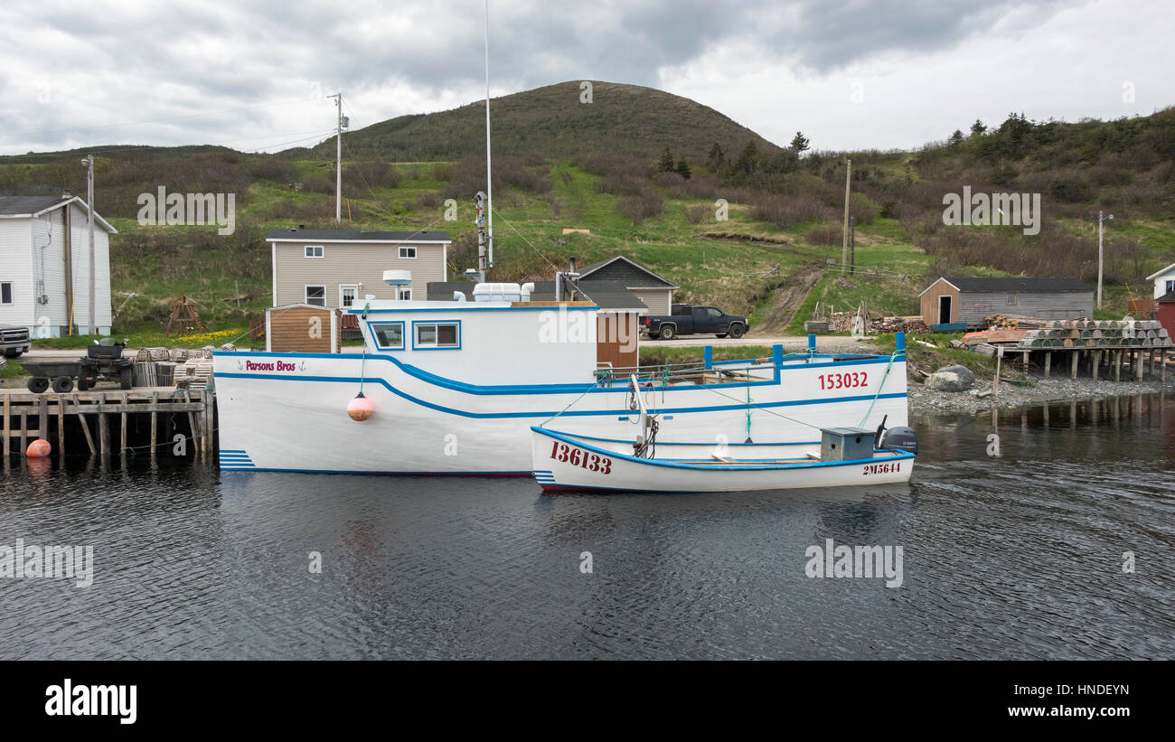 Large and small boats with matching paint jobs, harbour, Trout River, Newfoundland Stock Photo