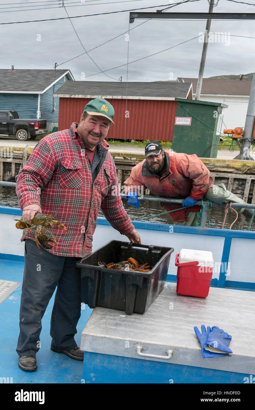 Lobster fishers with the morning catch, Trout River, Newfoundland Stock Photo Alamy