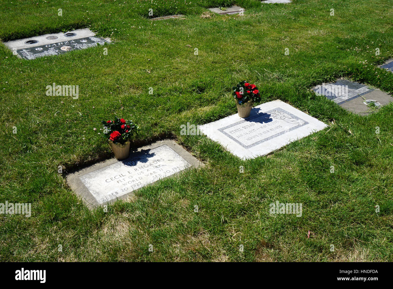 Flowers on graves hires stock photography and images Alamy