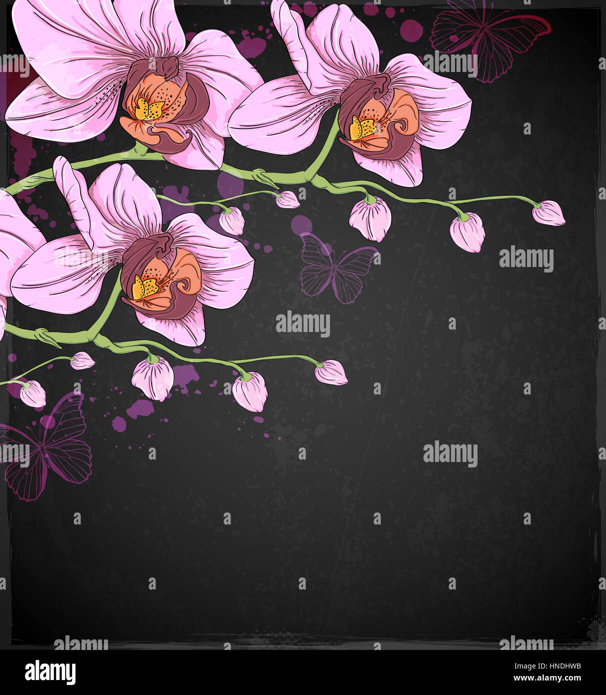 Pink orchids and butterflies on a black background. Hand drawn  illustration. Stock Photo