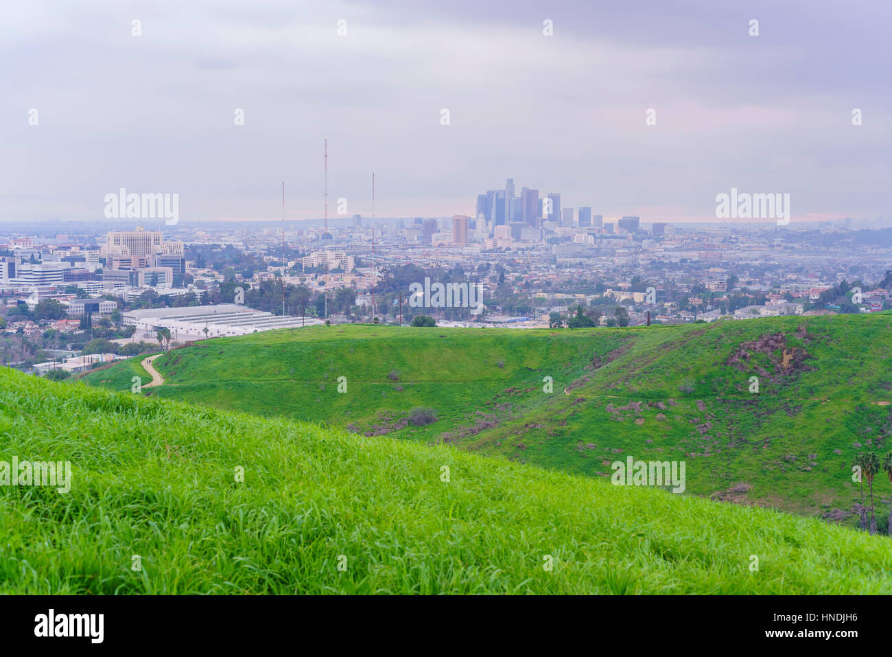 Beautiful nature landscape on Ascot Los Angeles, California Stock Photo - Alamy