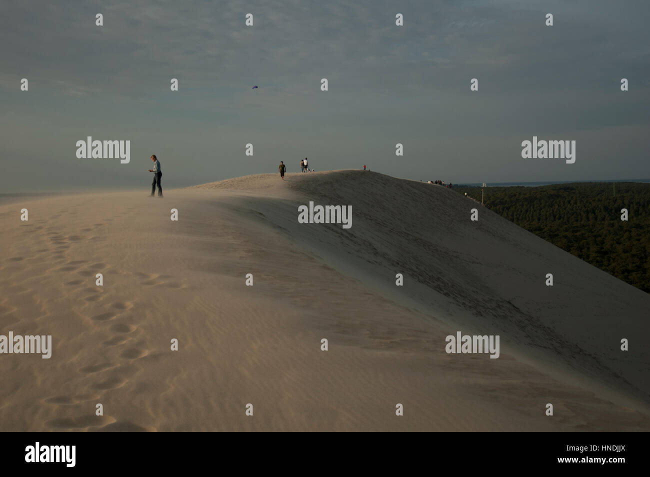 Dune of Pilat. The largest sand dune in Europe, France Stock Photo Alamy