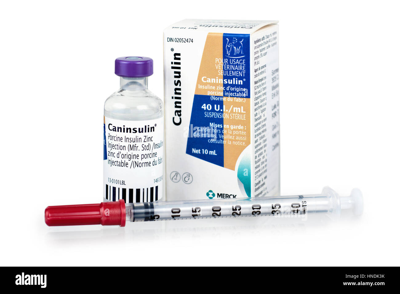 Insulin, Syringe Caninsulin Vial for Canine Diabetes, Diabetic Dog, Pet Stock Photo