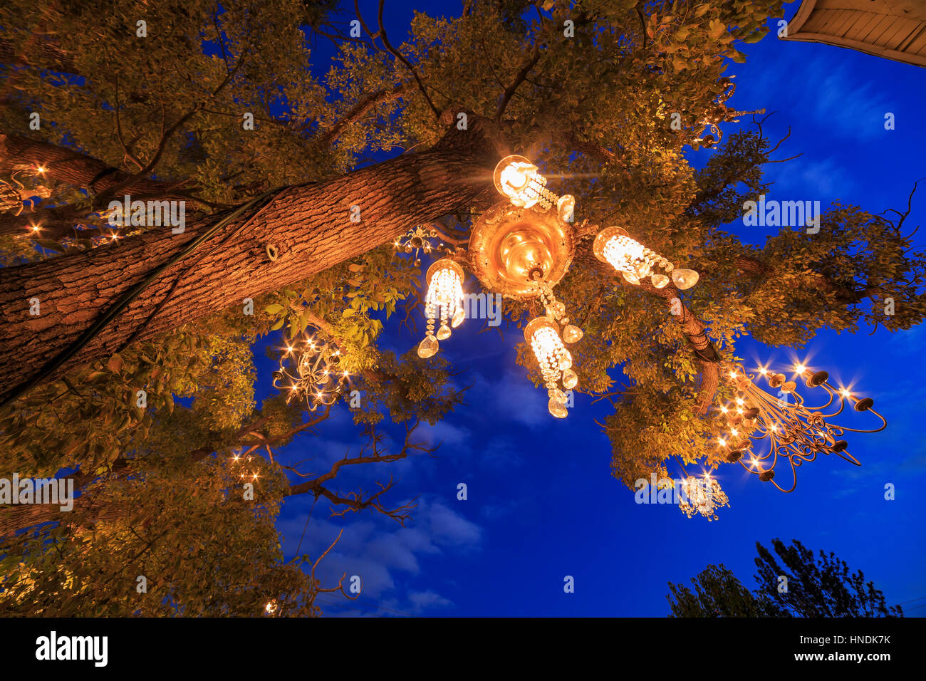 Chandelier tree los angeles hires stock photography and images Alamy