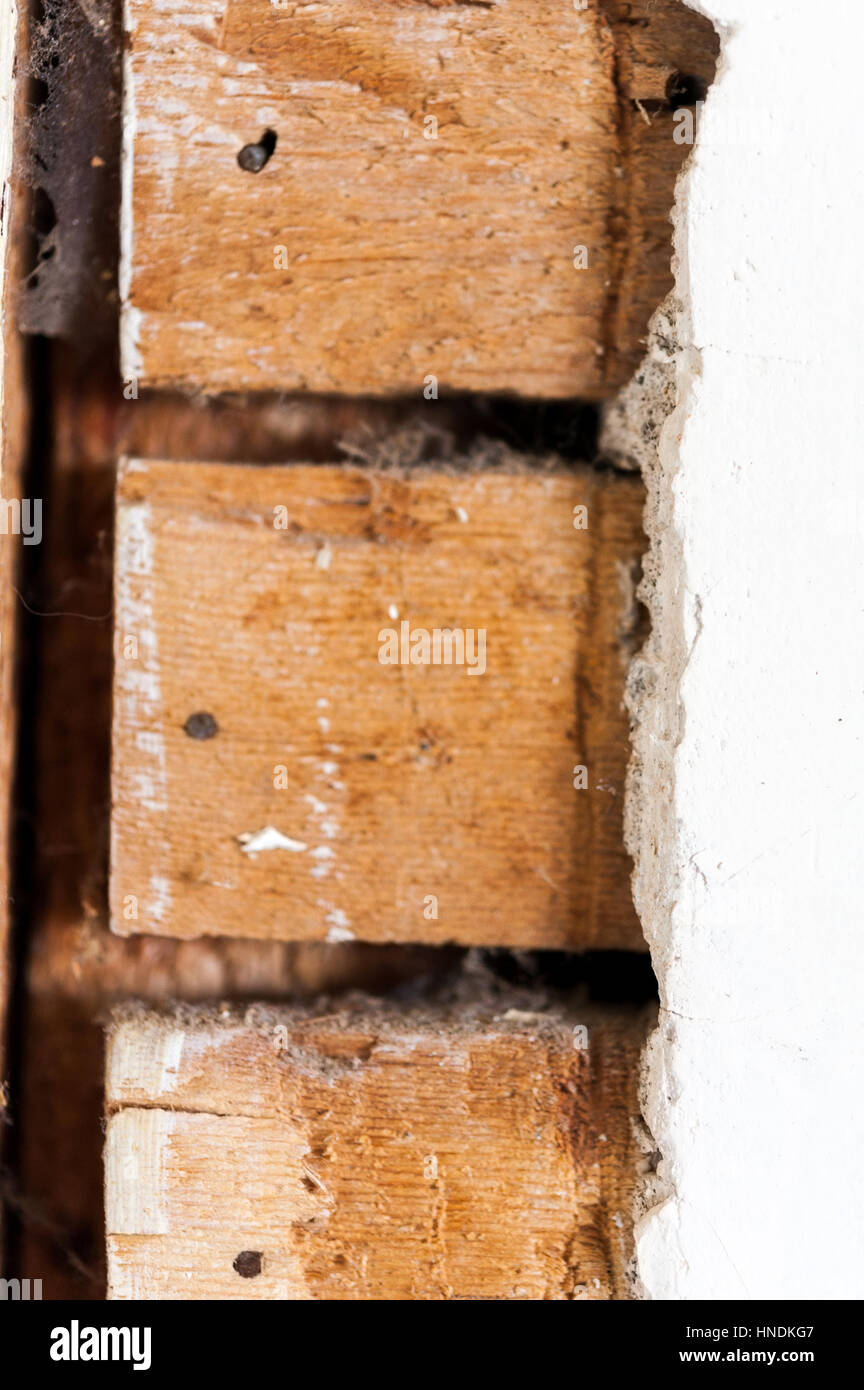 Close up detail of plaster wall showing exposed wooden lath during a house renovation Stock Photo