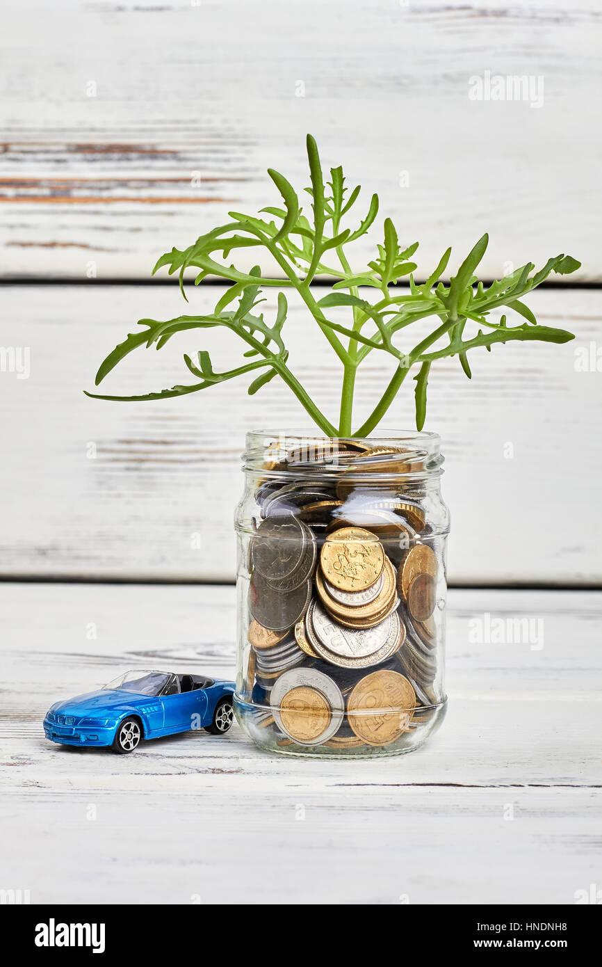 Jar with coins and plant. Stock Photo