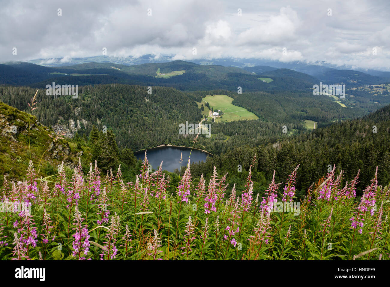 View towards Feldsee from Feldberg mountain, Black Forest, Germany Stock Photo