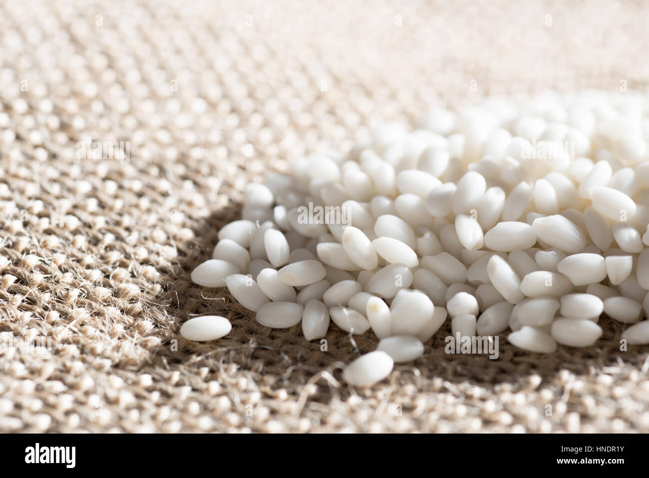 Waxy Rice Round Glutinous rice/sticky rice/waxy rice for design nature foods Concept ...