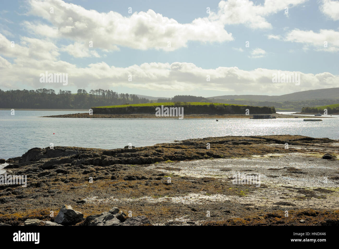 Rabbit Island, Bantry Bay Stock Photo - Alamy