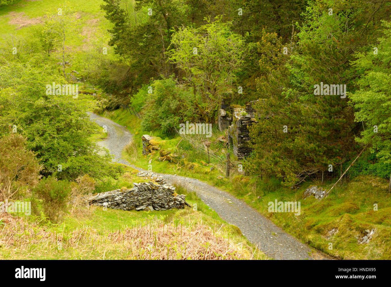 Sarn Helen at Rhiwddolion Stock Photo Alamy